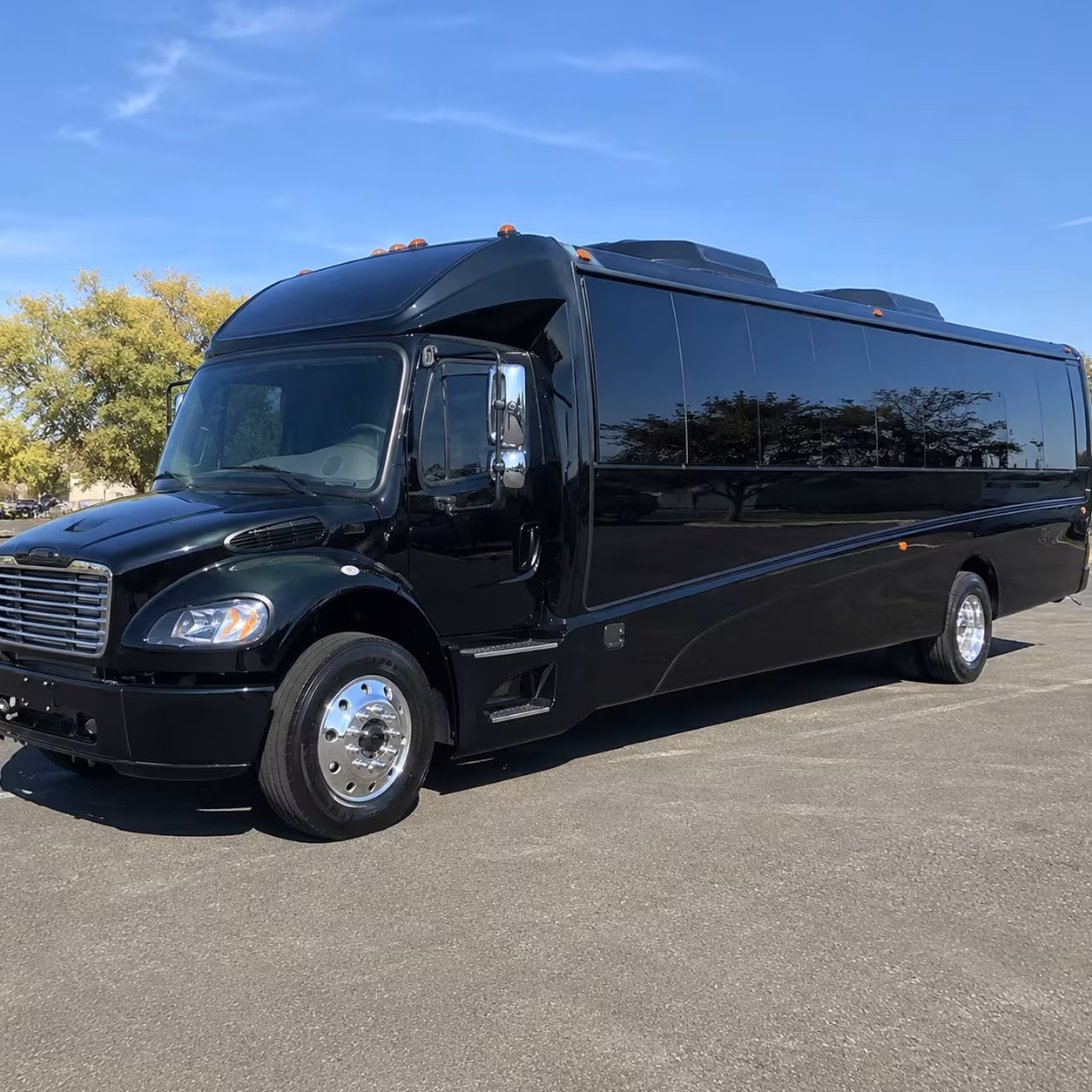 avondale minibus rentals to goodyear ballpark for spring training